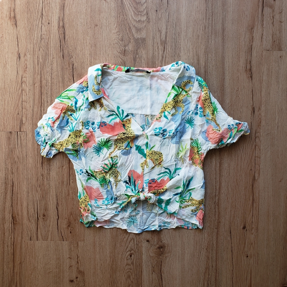 Zara Cropped Top